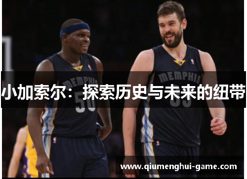 小加索尔:探索历史与未来的纽带 小加索尔:探索历史与未来的纽带